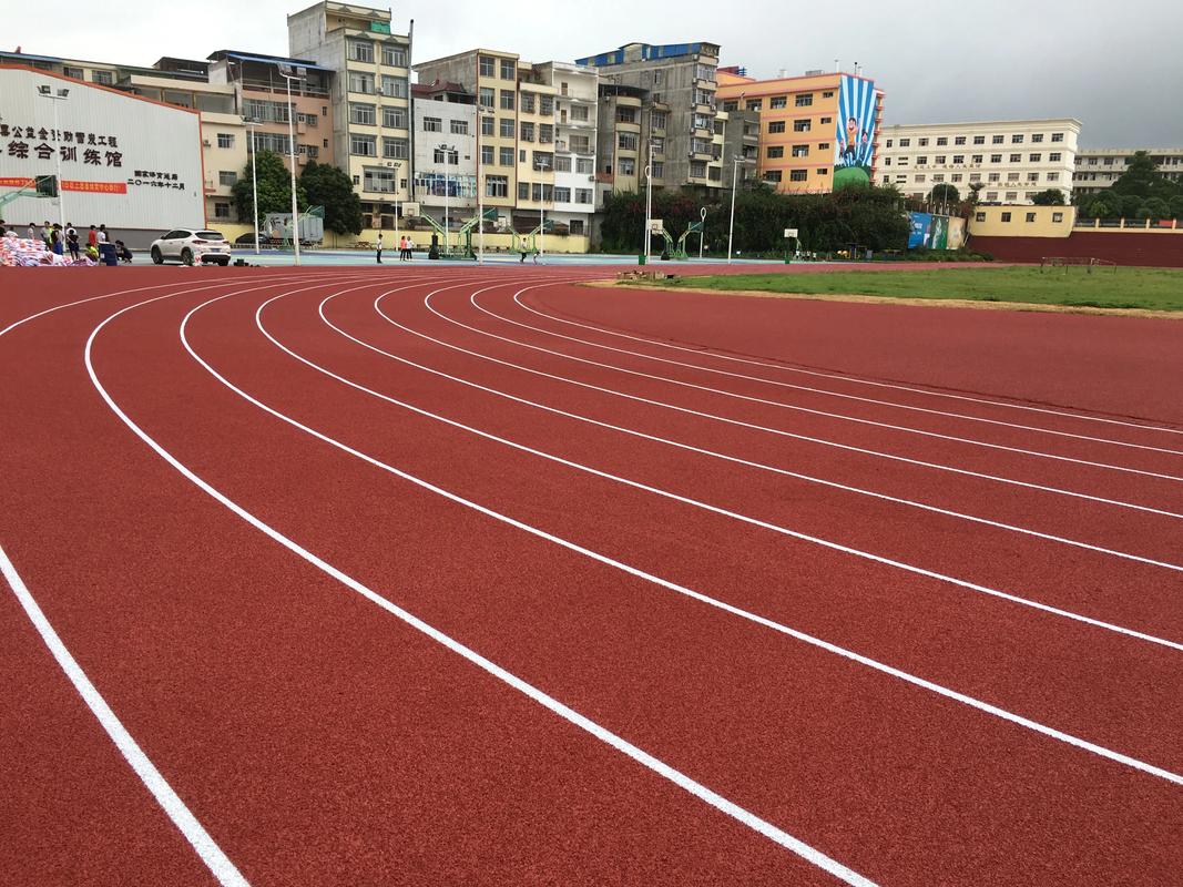 珠海市塑胶跑道塑胶跑道材料 - 方案